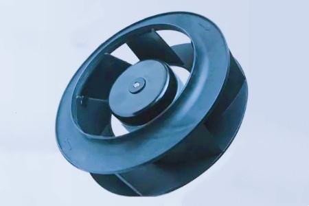 後向式直流麻豆直播免费版