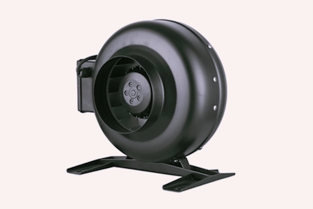 圓形管道麻豆直播免费版